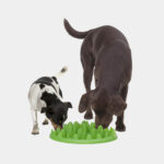 Medium Cat Trees - Image 3