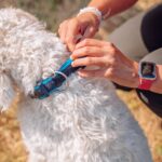 Каишка за куче NOBBY Mesh Preno XS - Image 2