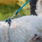 Каишка за куче NOBBY Mesh Preno XS - Image 3
